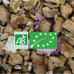 TENDRE GINGEMBRE BIO (Tisane BIO) Sachet 100g