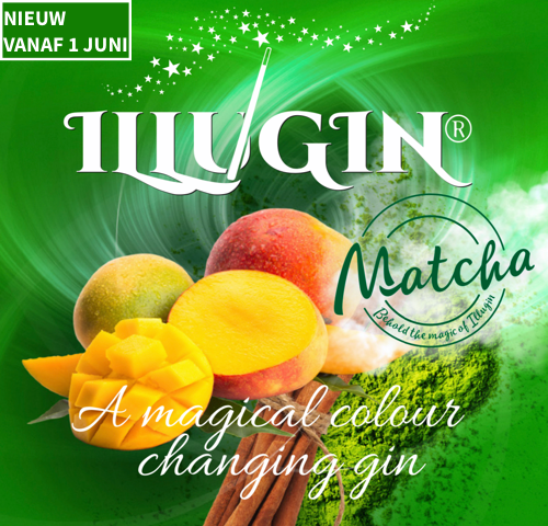 Illugin Matcha