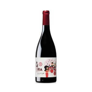 Bodega Vega del Castillo “Alegria” Appellation NAVARRE Rouge 2021 Bouteille 75cl