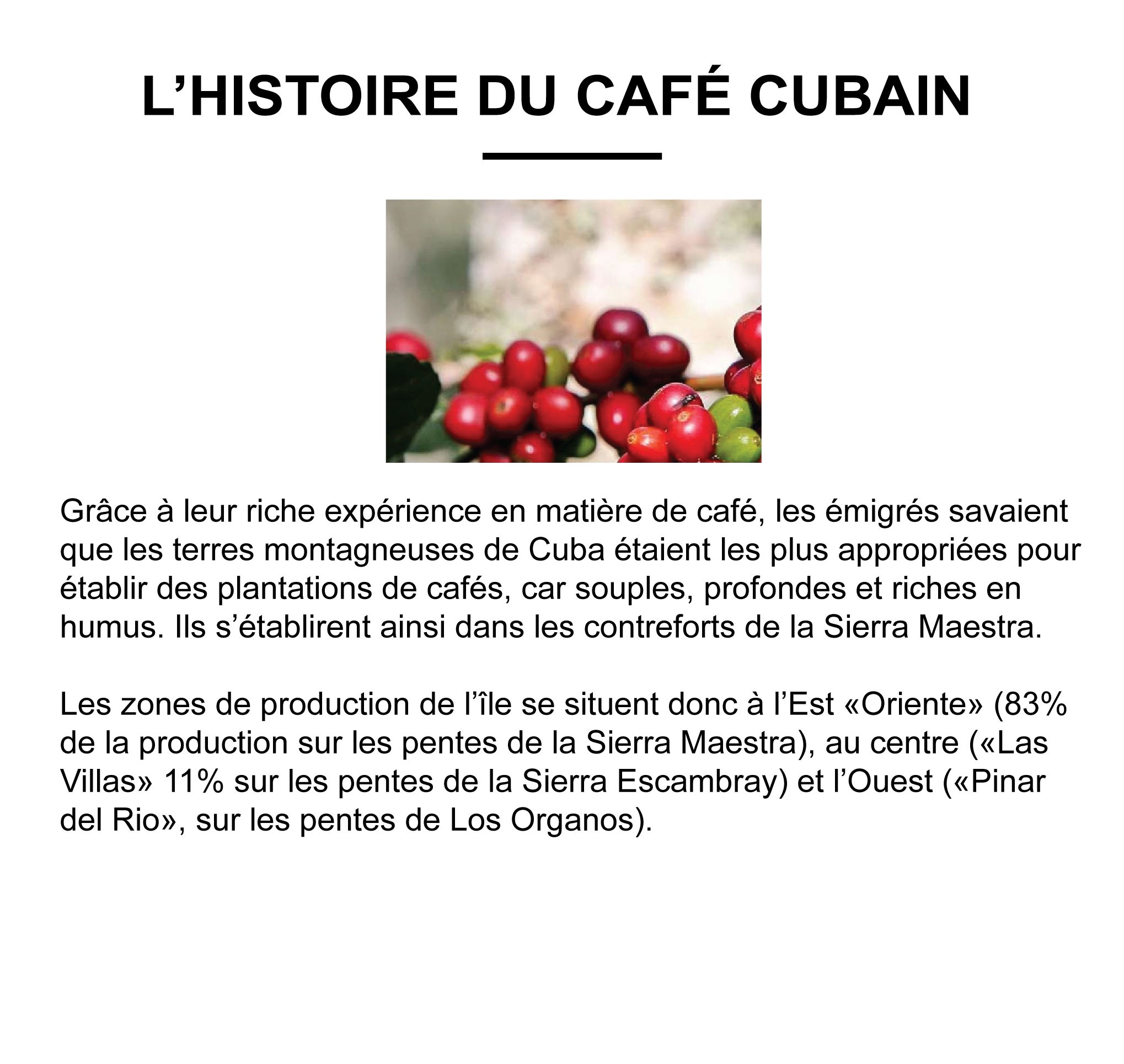 CUBA “SERRANO SUPERIOR” (Pur Arabica) Sachet 250g – Image 2