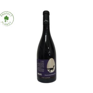 Anne de Joyeuse “CUVÉE VARIRAPTOR – MALBEC” I.G.P. PAYS D’OC Rouge 2022 Bouteille 75cl