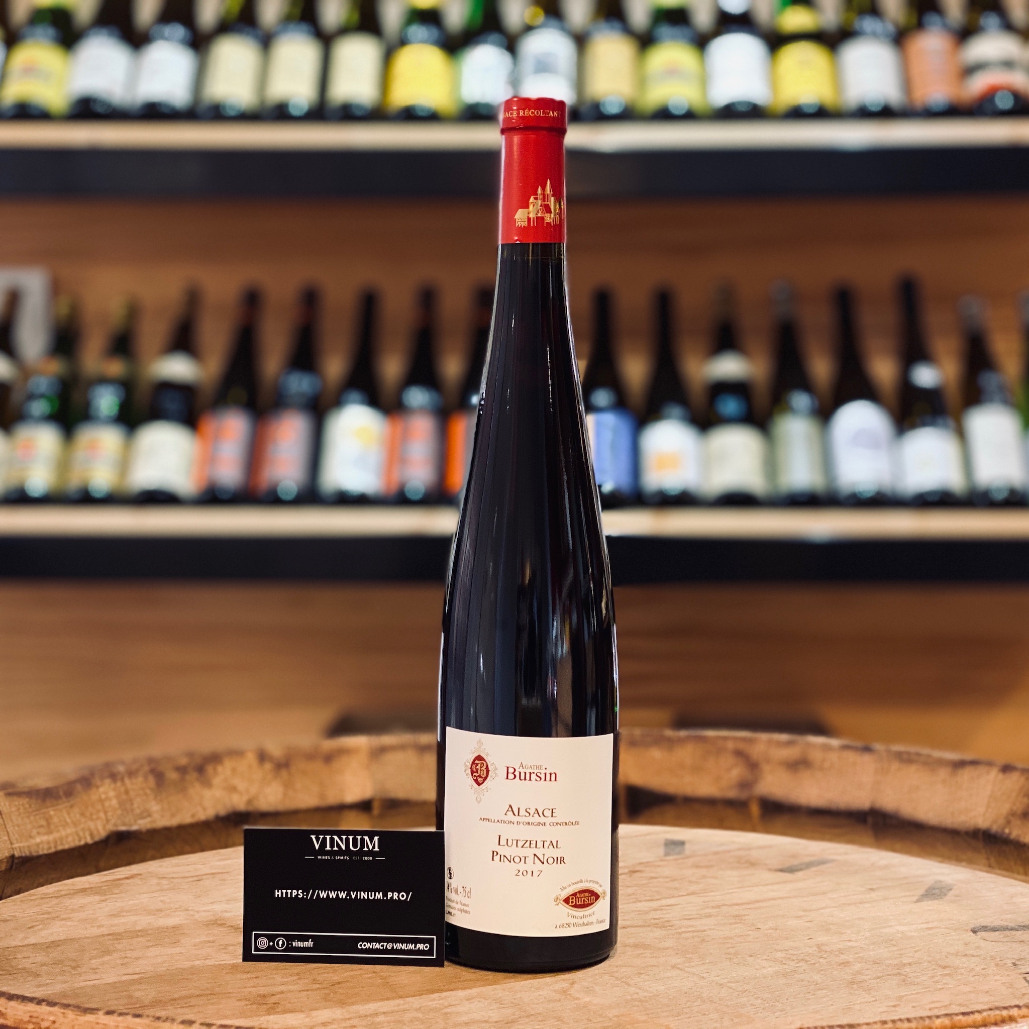 Bursin Pinot Noir Lutzeltal 2023