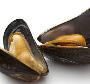 Moule Fraîche avec coquille 1kg