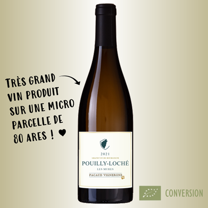 Pacaud Vignerons Pouilly-Loché Les Mûres 2021
