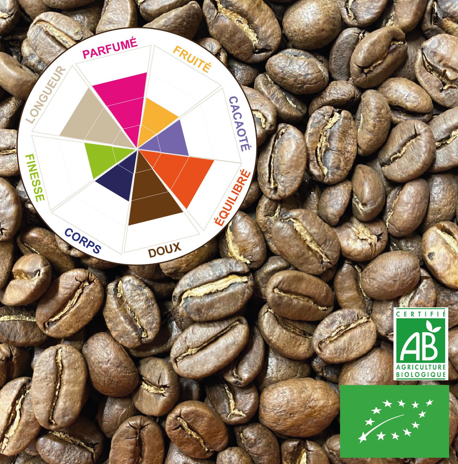 PÉROU “Hard Bean” (Pur Arabica BIO) Sachet 250g