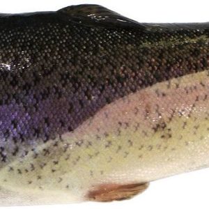 Truite Filet avec Peau 1Kg