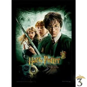 Affiche harry potter chamber of secrets 30×40