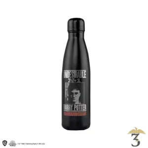 Bouteille isotherme harry wanted 500ml