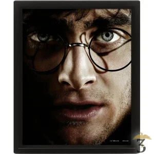 Cadre lenticulaire harry vs voldemort