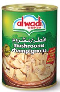 champignons pieds et morceaux 400g AlWadi