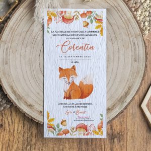 Faire-part Papier ensemencé Alexis – à partir de 2,13€ l’unité