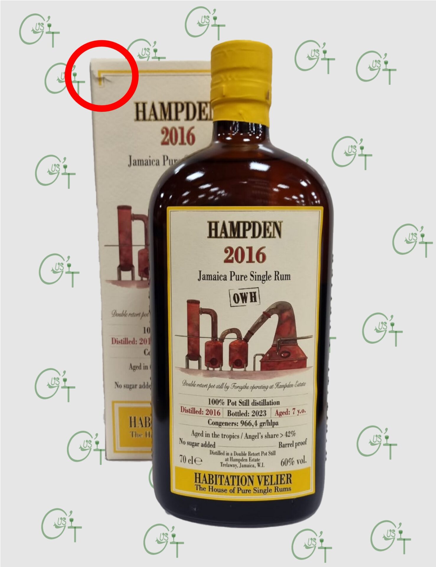 Hampden 2016, 7 ans OWH, Habitation Velier