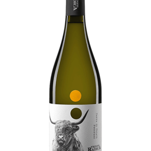 PECORINO IGP TERRE DI CHIETI