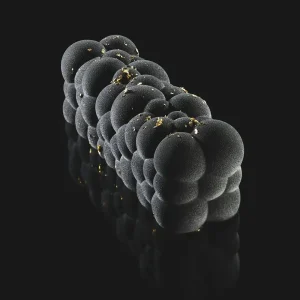 Moule à bûche Atomic Pavoni