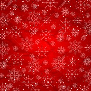 La Charmeuse – 6 vins naturels pour les Fêtes