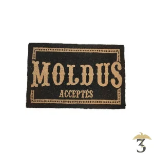 Paillasson modlus acceptés 40×60
