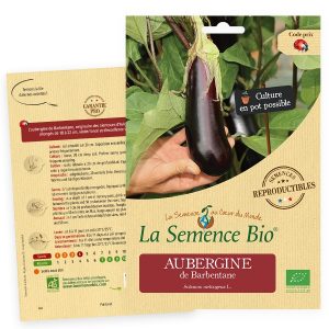 La Semence Bio Aubergine de Bretagne 0.146G