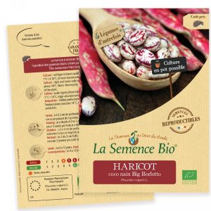 La Semence Bio Haricot Coco 50G