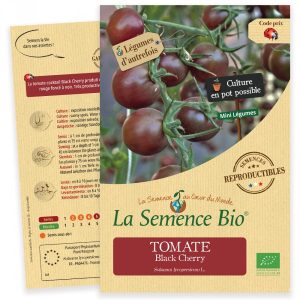 La Semence Bio Tomate Cerise Noire 0.07G