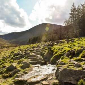 The Rocky Road to Dublin (Fanfare)