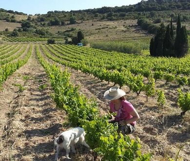 Roc’n’Rousselin – Image 2