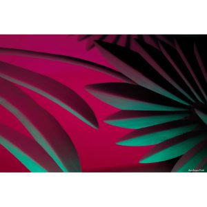 « Abstract FK2A0529 »