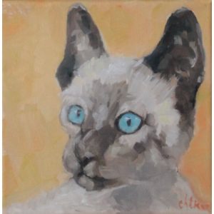 « Le siamois aux yeux bleus »