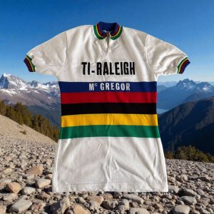 Maillot hyper collector Original « Tricots du Rocher » Cycliste-Cycling jersey TI-Raleigh-McGregor 1978 Vintage Tour de France – Champion du monde – Collection – Décoration